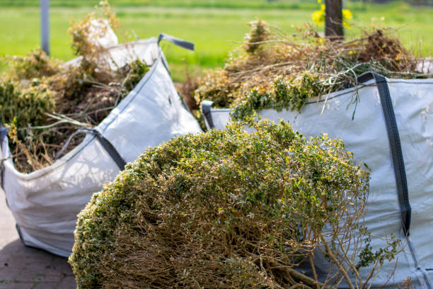 Best Furniture Removal Near Me  in Lafayette, CA